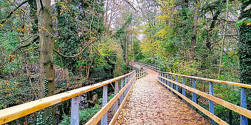Tegeler Fließ
Eben noch mitten in der Großstadt – eine Viertelstunde später im Tegeler Fließ