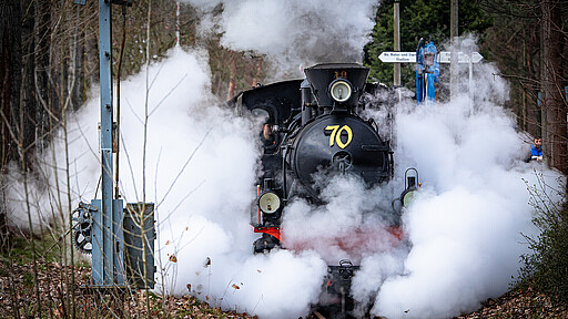 Parkeisenbahn Wuhlheide