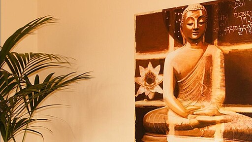 Wellness-Auszeit in der Märkischen Schweiz Sauna, Erlebnisduschen und griechisch-römischem Schwimmbad bieten ideale Bedingungen für entspannte Urlaubsmomente.