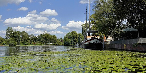  Der Uferweg entlang der Müggelspree bietet einen Blick auf das Gebäude der arsVivendi, das sich inmitten der grünen Umgebung erhebt. Der Pfad verläuft direkt am Wasser, umgeben von Bäumen und Sträuchern, und bietet eine harmonische Verbindung zwischen Natur und Architektur. 