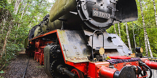 Natur-Park Südgelände
Wilde Natur zwischen alten Gleisen