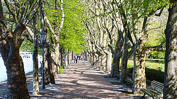 Station 2: Greenwichpromenade