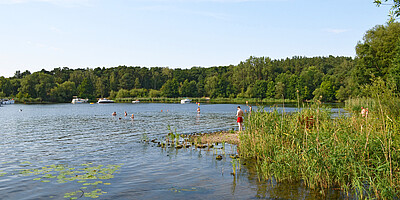Direkt oberhalb der Insel Lindwerder rundet sich das Ufer der Havel zur idyllischen Lieper Bucht.