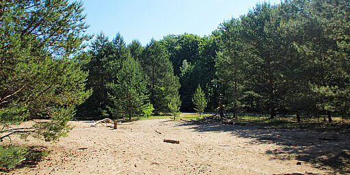 Station 3: Bieselheide  Ursprünglich trennte das Bieselfließ die Gutsbezirke Stolpe und Schönfließ voneinander. Die einzige Verbindung war ein kleiner Waldweg zwischen den Dörfern. Mit dem Bau der Mauer musste ein Teil des Bieselfließes für den ehemaligen Grenzstreifen weichen, der noch immer klar erkennbar ist. Rundherum ist die Bieselheide heute ein schönes, etwa 100 Hektar großes Waldgebiet, das zu „grenzenlosen“ Spaziergängen einlädt.