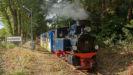 Parkeisenbahn Wuhlheide