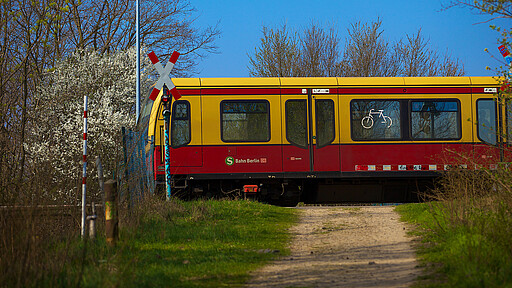 Kohlenmonoxid, Feinstaub und Stickoxide senken – S-Bahn-Fahren macht‘s möglich. Kohlenmonoxid, Feinstaub und Stickoxide senken – S-Bahn-Fahren macht‘s möglich.