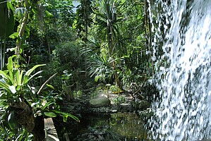 Zu einem richtigen Dschungel gehört auch ein Wasserfall