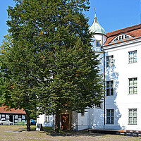 Station 2: Jagdschloss Grunewald