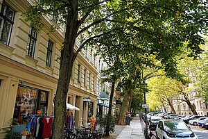 Ein gemütlicher Bürgersteig im Prenzlauer Berg mit Bäumen, die Schatten auf den Weg und die Altbauwohnungen werfen. Im Vordergrund ist ein Schaufenster mit Kleidung zu sehen, auf dem steht „30 Jahre Bunte Baumwolle“. Autos parken am Straßenrand unter den dichten Bäumen.