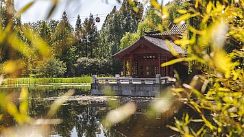 Steinboot am Teich im Chinesischen Garten umrahmt von Pflanzen