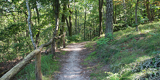 Station 2: Grunewald