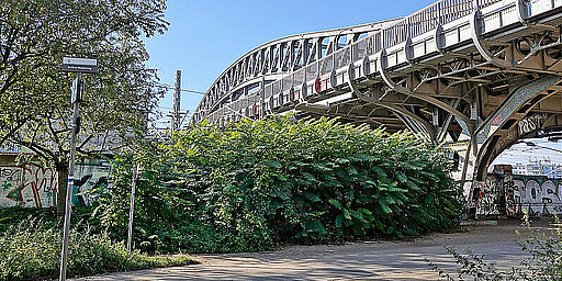 Mauerweg
Ein Ausflug in die Geschichte Berlins kann man am S-Bahnhof Bornholmer Straße machen