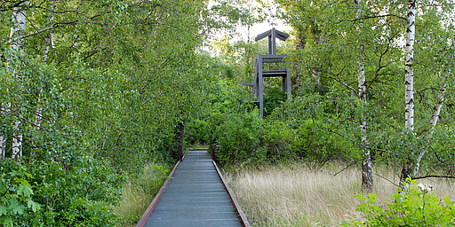  Knapp unterhalb der Baumkronen hat man einen schönen Ausblick auf das umgebende Gelände und kann den Vögeln lauschen. 