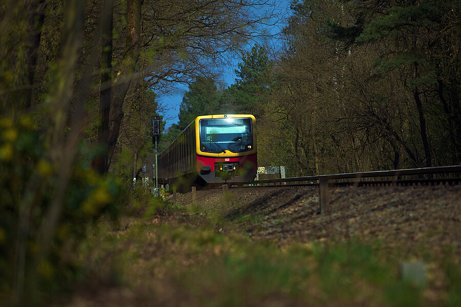 S7 an der Böckmannbrücke vor Griebnitzsee