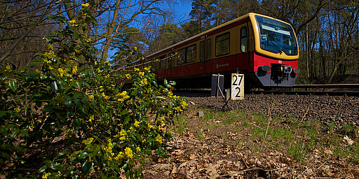 S7 an der Böckmannbrücke vor Griebnitzsee