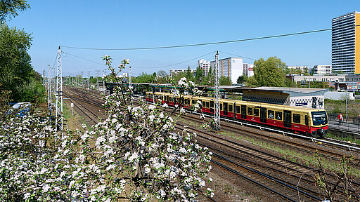 Frühlingsstimmung S-Bahnzug am Bahnsteig Springpfuhl.