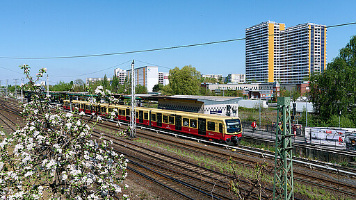 S-Bahnzug am Bahnsteig Springpfuhl.